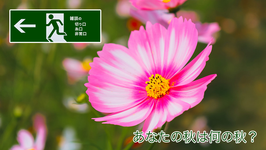 あなたの秋は何の秋？ | 雑談の糸口、切り口、非常口
