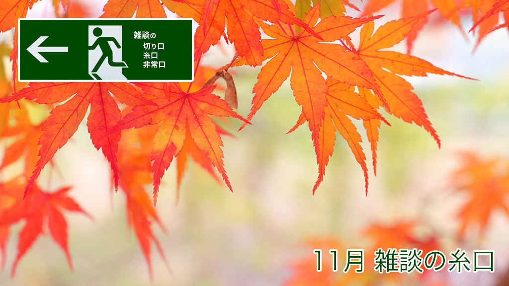 11月 雑談の糸口
