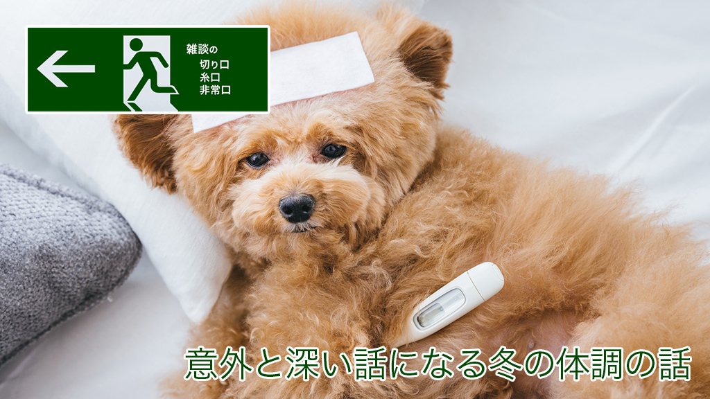 意外と深い話になる冬の体調の話
