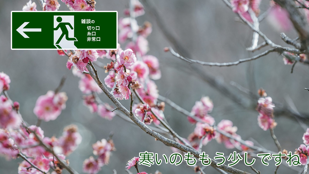 寒いのももう少しですね | 雑談の糸口、切り口、非常口