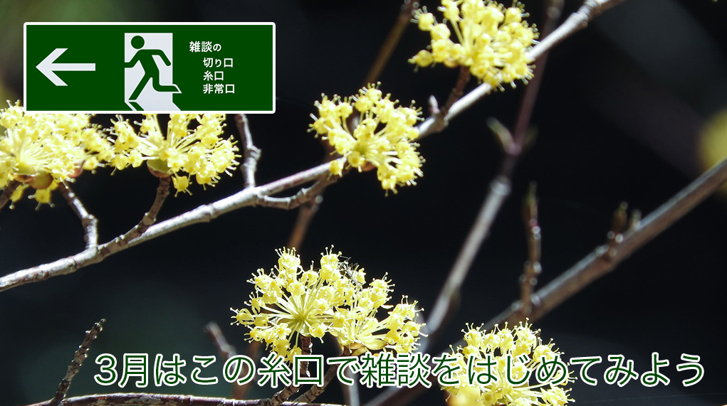 3月はこの糸口で雑談をはじめてみよう