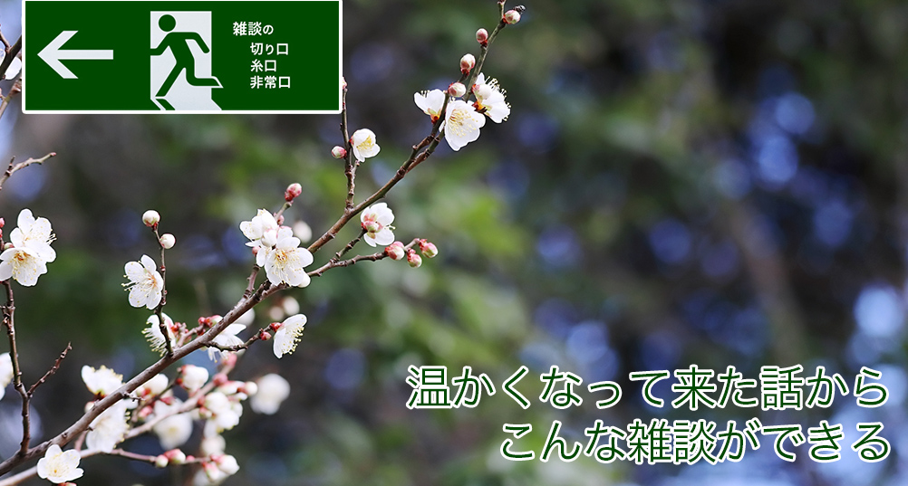 温かくなって来た話からこんな雑談ができる | 雑談の糸口、切り口、非常口
