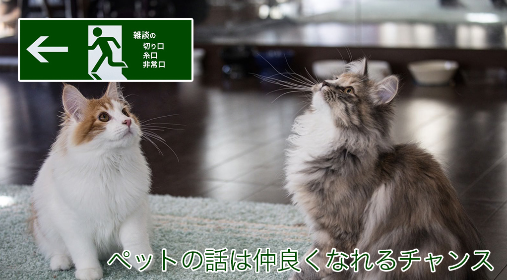 ペットの話は仲良くなれるチャンス | 雑談の糸口、切り口、非常口
